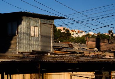 segundo-torrao