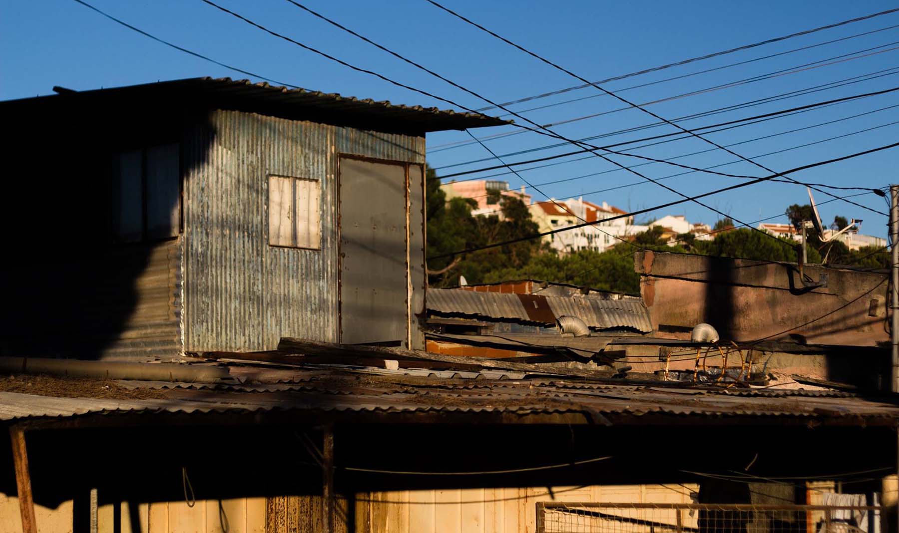 segundo-torrao