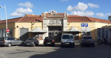 mercado-municipal