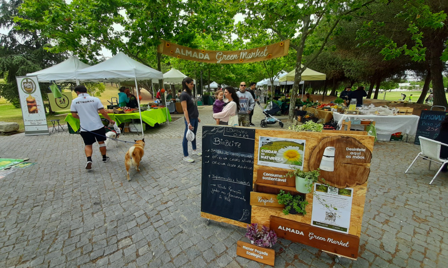 green-market-paz