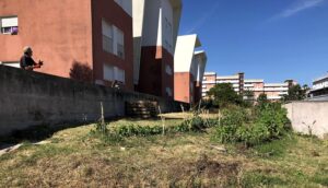 horta-sombra