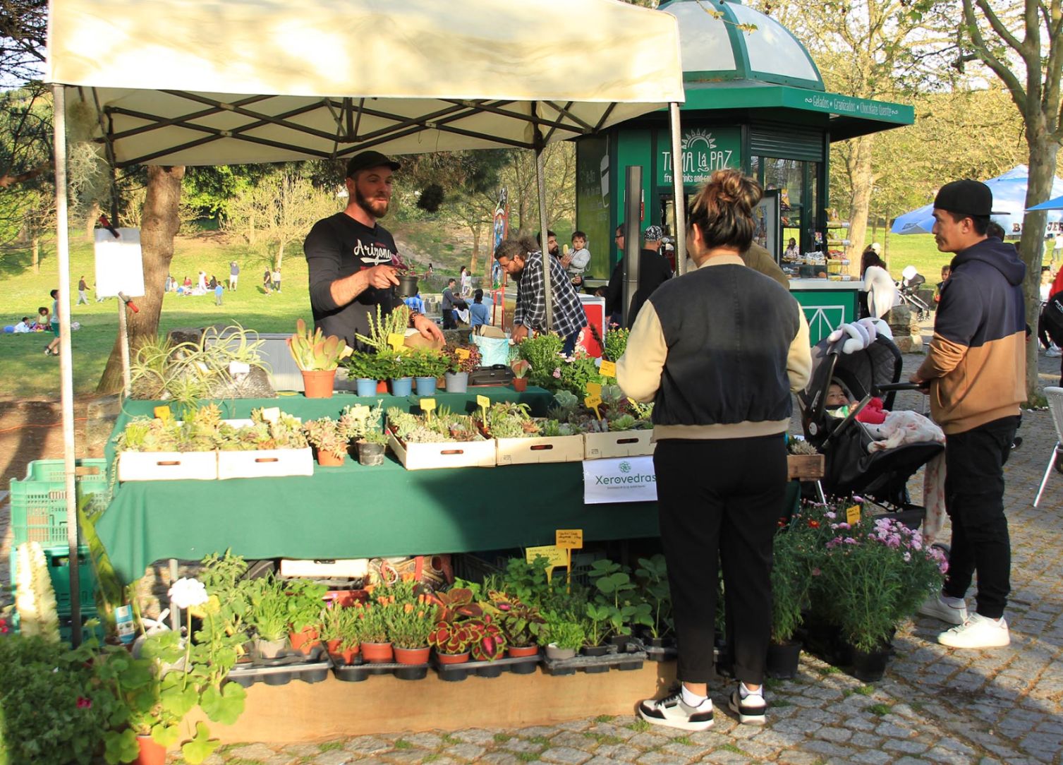 green-market-novo