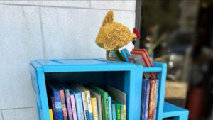biblioteca-movel