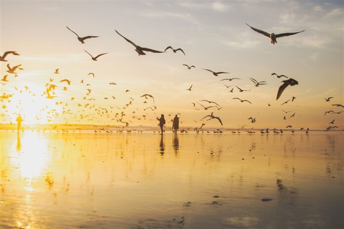 costa-caparica