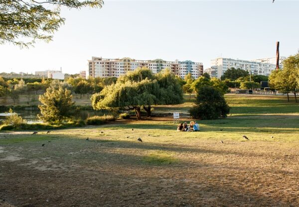 parque-paz-bruno