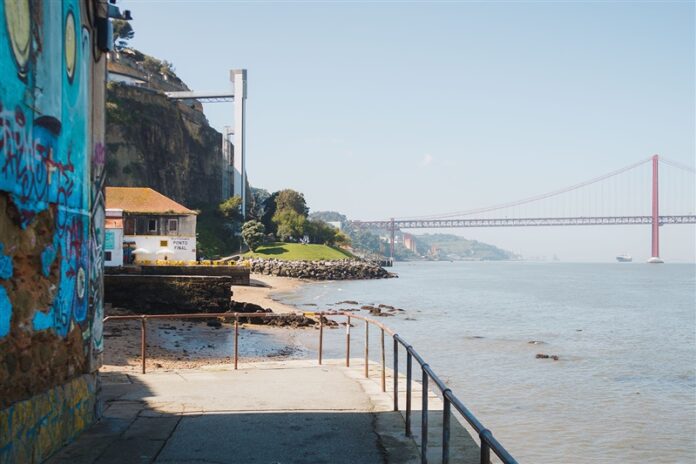 ginjal-rio