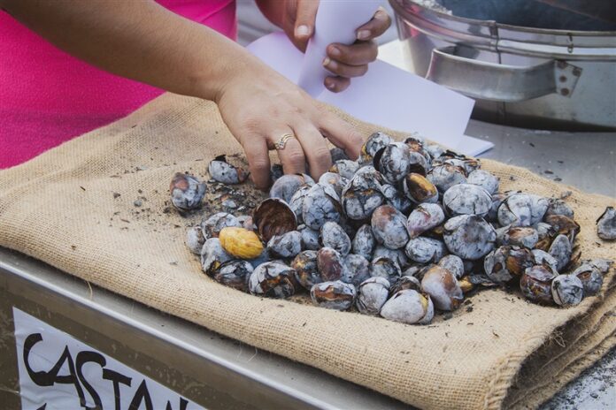 castanhas-magusto