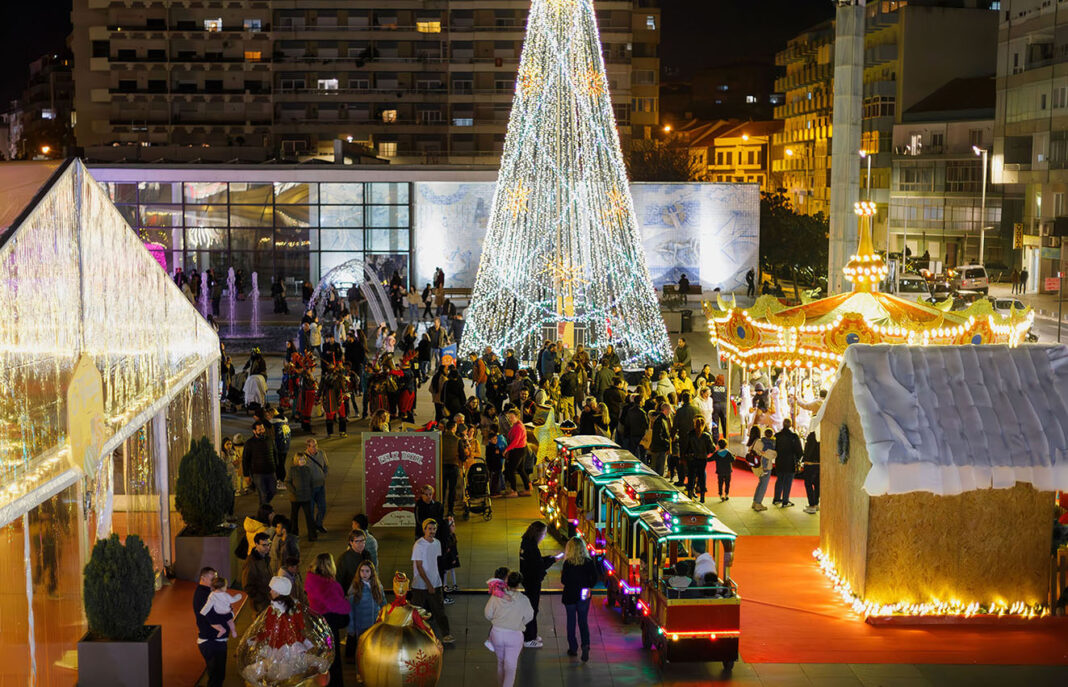 biblioteca-natal