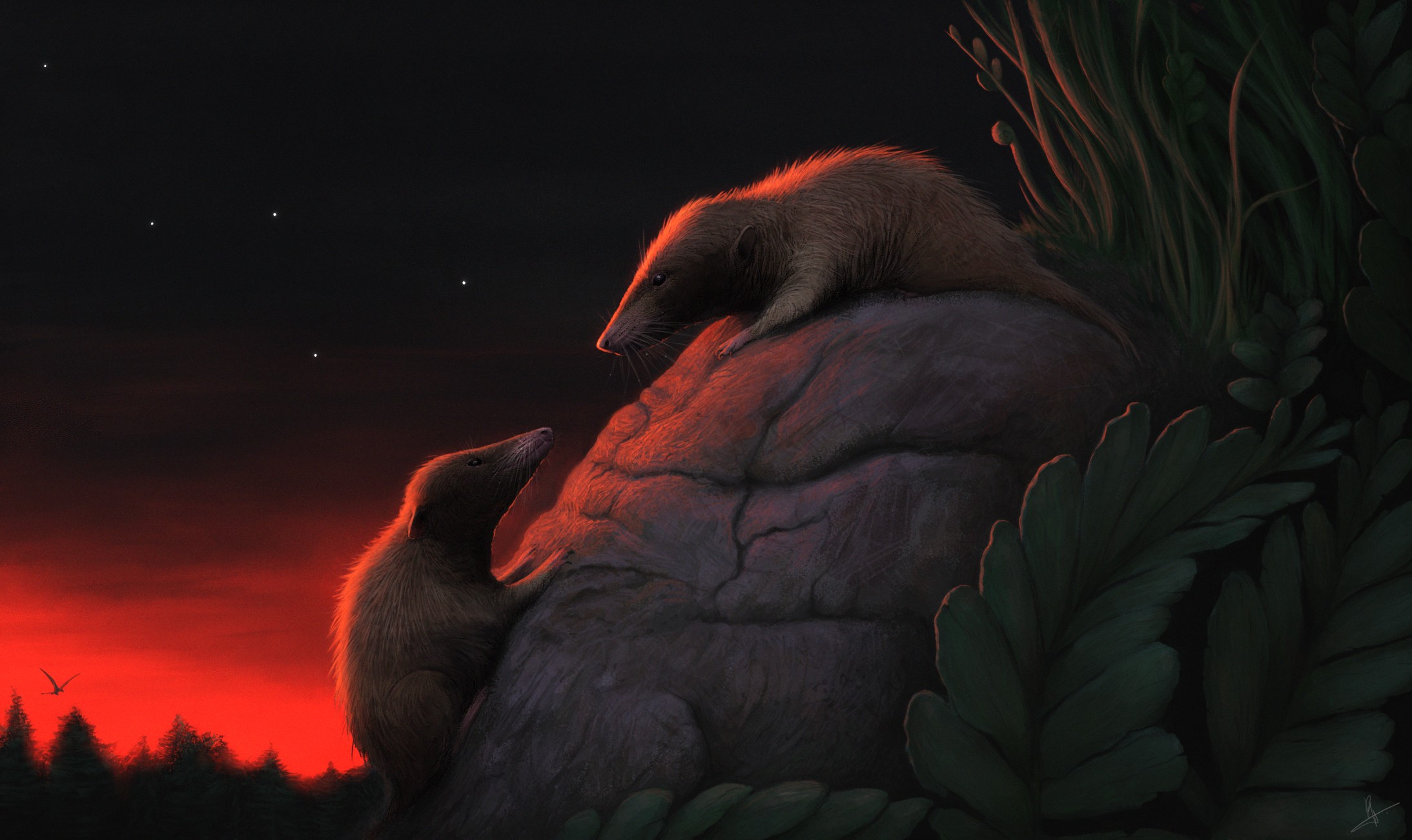 Ilustração científica que retrata dois indivíduos da espécie Nujalikodon cassiopeiae ao pôr do sol