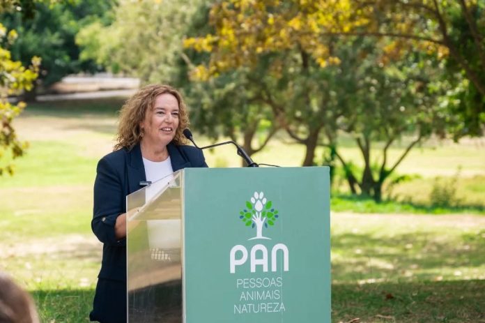 marina-pan
